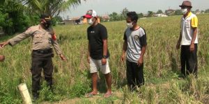 Para Petani Baru Balik Dari Mudik Di Tes Sweb Antigen Oleh Petugas