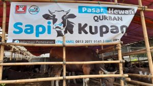 CV Indo Raya Sediakan Jasa Pemotongan dan Pengiriman Hewan Kurban Di Masa PPKM Darurat