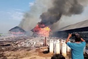 Dua Kandang Ayam Ludes Terbakar,Di Duga Akibat Arus Pendek Listrik