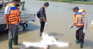 Mayat Lelaki Tanpa Identitas Mengambang Di Sungai Citarum