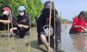 Pelestarian Wilayah Pesisir Muara Gembong dengan Menanam Mangrove