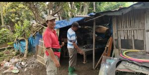 Sekeluarga tinggal bareng kandang ayam paska eksekusi lahan.