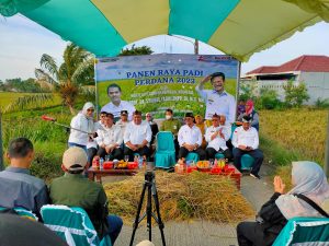 Peningkatan Panen Padi di Kabupaten Bekasi naik Tiga Persen, Sangga Pangan di Jabar