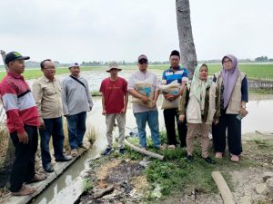 Pemkab Bekasi Salurkan Bantuan Benih dari Kementan Secara Bertahap