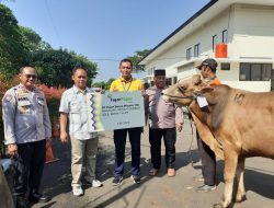 FajarPaper Serahkan 96 Hewan Kurban Jelang Hari Raya Idul Adha 1444 H