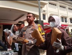 Sebanyak 79 Kilogram Ganja Hasil Penangkapan Bandar Jaringan Lintas Provinsi Dimusnahkan