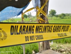 Pemuda Tewas di Tengah Pematang Sawah Didiga Tersengat Listrik Pengusir Tikus