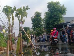 Bentuk Protes Jalan Rusak, Puluhan Warga Tanam Pohon Pisang di Ruas Jalan