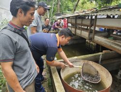 FajarPaper Dukung Ekonomi Berkelanjutan dan Kebersihan Lingkungan dengan Fasilitasi Bibit Lele dan Unit Tempat Sampah