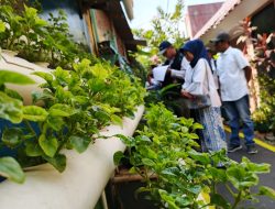 Penilaian Predikat Proklim Nasional Tingkat RW Kelurahan Tomang Jakarta Barat