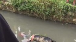 Warga di Gemparkan Mayat Tanpa Identitas Mengambang di Kali Irigasi