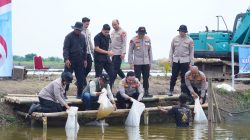 Dukung Ketahanan Pangan Nasional,Wakapolda Metro Jaya Bersama Kapolres Metro Bekasi Tebar Puluhan Ribu Benih Ikan di Muara Gembong