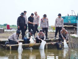 Dukung Ketahanan Pangan Nasional,Wakapolda Metro Jaya Bersama Kapolres Metro Bekasi Tebar Puluhan Ribu Benih Ikan di Muara Gembong