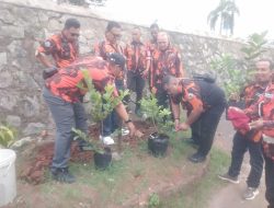 Dukung Penghijauan, MPC Pemuda Pancasila Tanam Puluhan Pohon